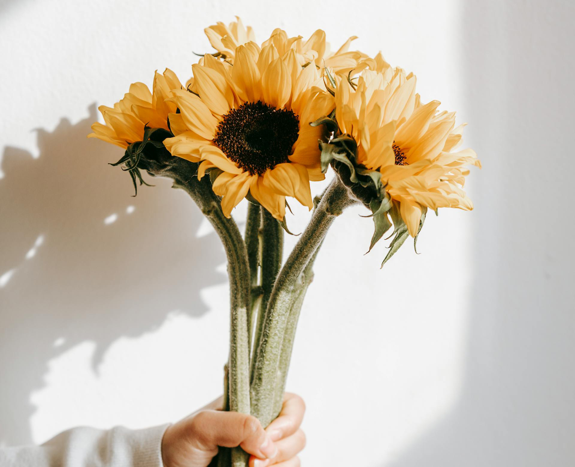 亲爱的老师，节日快乐！